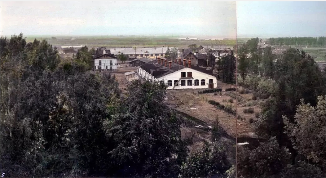 Совхоз "Красный Сад" - Retro photos