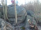 английский дворец в петергофе история